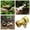 Gold, variant on Solid Brass Garden Hose Shut Off 3/4 Inch GHT Heavy Duty Outdoor Water Flow Control Connector Durable Metal Fitting for Irrigation System