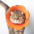 thumbnail image 3 of Modèle de Collier de Récupération pour Chat de Compagnie en Coton Doux pour Chien après la Chirurgie Collier de Protection pour Chat de Petit Chien (Taille, S), 3 of 3