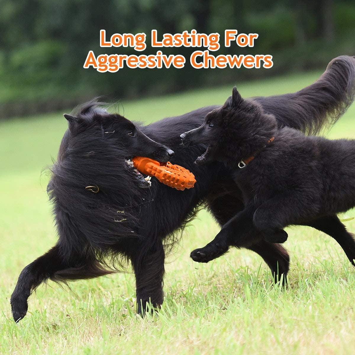 Taoist Dog Chew Toys for Aggressive Chewers Large Breed, Non-Toxic Natural Rubber Long-Lasting Indestructible Dog Toys, Tough Durable Puppy Chew Toy for Medium Large Dogs, Fun to Chew, Chase