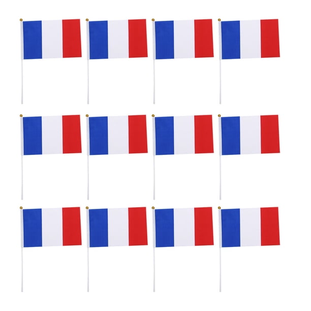 EeaseMX 50 banderas pequeñas de Francia para sujetar con palo, banderas internacionales de países del mundo, decoración para fiestas.