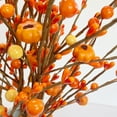 thumbnail image 3 of Fall Artificial Berry Stems 2Pcs Berry Picks Branches Fall Orange Stems Floral Arrangements with Fake Pumpkin for Autumn Thanksgiving Harvest Home Vase Festival Indoor Christmas Decor, 3 of 4