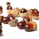 thumbnail image 1 of 50 piezas de bellotas artificiales JanHm con tapa de bellota natural decoración del hogar, 1 of 5