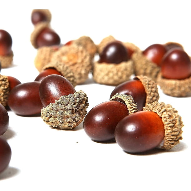 50 piezas de bellotas artificiales JanHm con tapa de bellota natural decoración del hogar