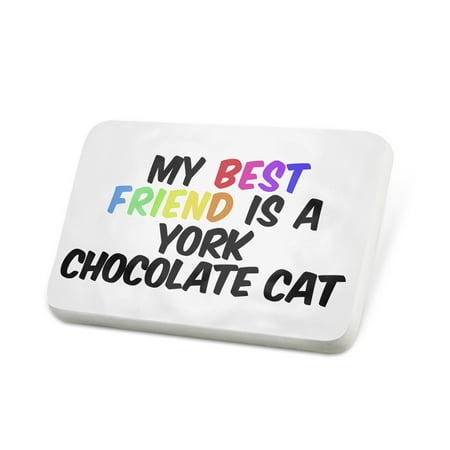 Porcelein Pin My best Friend a York Chocolate Cat from United States Lapel Badge –