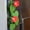 Red, variant on Morning Glory Fridge Magnets, 3D Climbing Ivy Vine with Articulating Stems, Ivy Fridge Magnet, Plant Fridge Magnets Pink