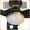 Black&Gold, variant on SMAAIR 52" Indoor/Damp Rated Outdoor Smart Ceiling Fan with Dim Light & Remote