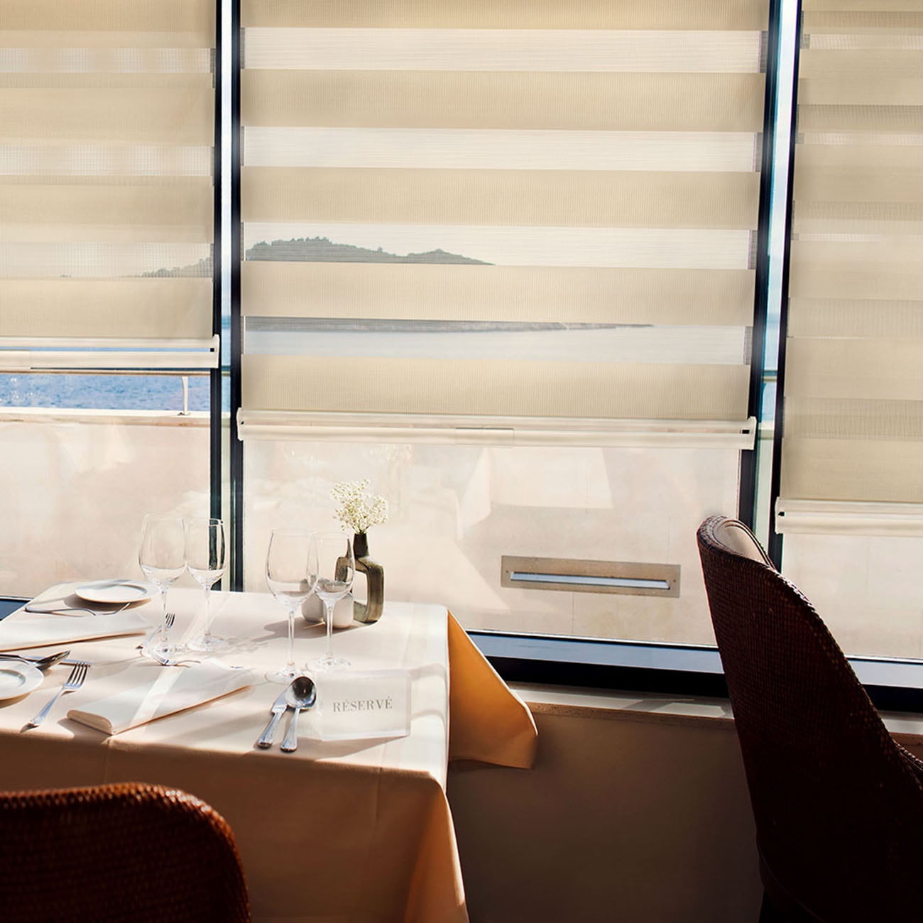 CHICOLOGY Dual Layer & Privacy Free-Stop Cordless Zebra Roller Shades