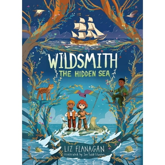 Wildsmith The Hidden Sea, (Paperback)