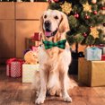 thumbnail image 3 of Paquete de 2 collares navideños para perros, collares clásicos para perros a cuadros de búfalo con pajarita extraíble, ajustable, 3 of 5