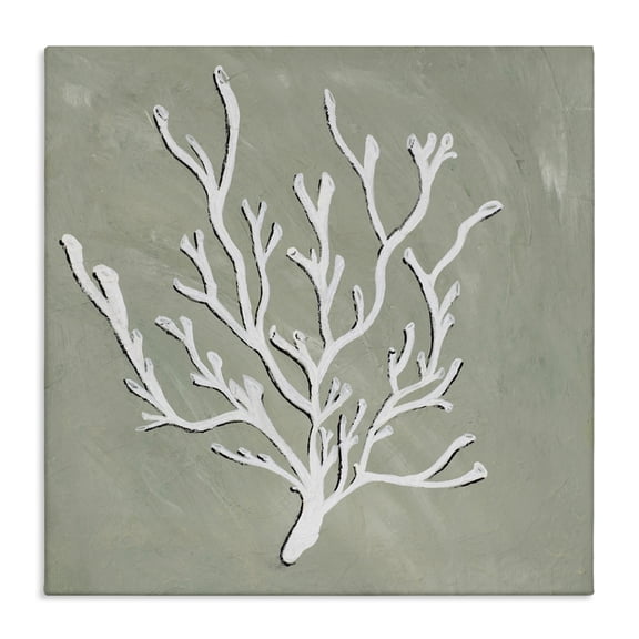 Stupell Industries Transitional White Coral Sprig Canvas Art, 17 x 17, by Nola James