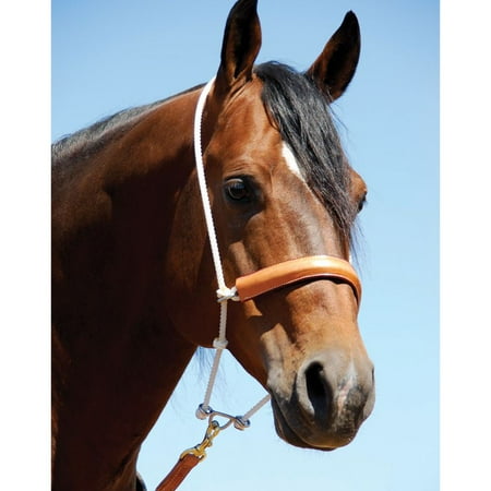 

Martin Saddlery htdrl double rope leather covered headsetter