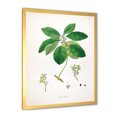 thumbnail image 2 of Designart 'Ancient Botanicals V' Farmhouse Framed Art Print, 2 of 4