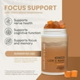 thumbnail image 3 of Charlotte's Web Focus Support Mushroom Gummies for Focus and Energy w/Lion’s Mane, Natural Cognitive Support Lions Mane Gummies for Adults — Tangerine Flavor (30 Servings), 3 of 9