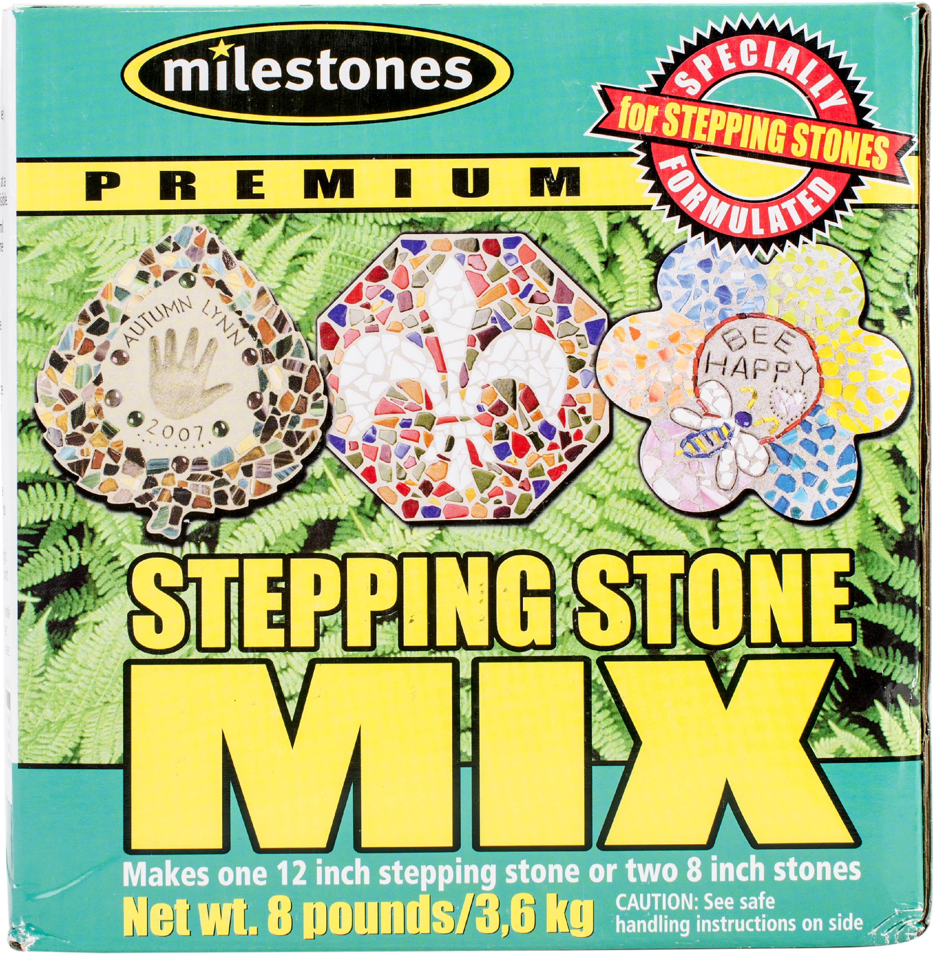 Stepping Stones Bee Pack of 6 Charcoal