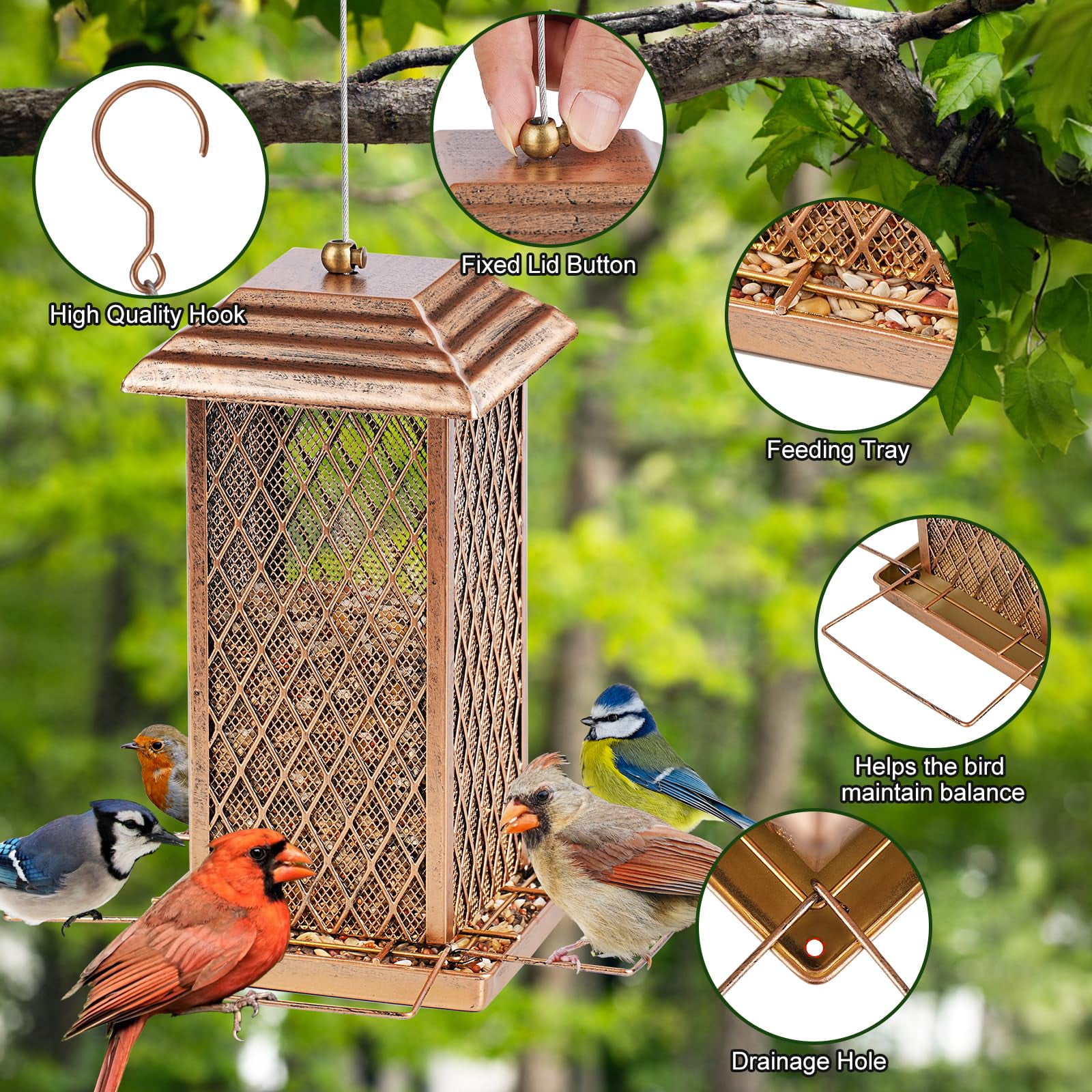 IWNTWY Metal Wild Bird Feeder for Outdoor Hanging, Heavy Duty Birdfeeder 3 lbs Capacity for Garden Yard Decoration