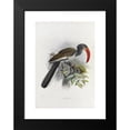 thumbnail image 2 of Daniel Giraud Elliot 17x24 Black Modern Framed Museum Art Print Titled - Trackus Monteiri (1882), 2 of 5