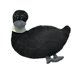 thumbnail image 2 of Fiudx Ofertas Del Día Juguete De Peluche Con forma De Patito Para Niños Y Niñas, Regalo Para El Hogar, Cachorro, Lindo Juguete De Peluche, 2 of 3