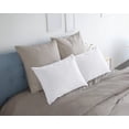 thumbnail image 5 of Almohada Victoria JENIN HOME 200 Hilos Estandar Color Blanco 48 x 68 cm, 5 of 5