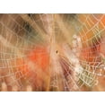 thumbnail image 2 of Frank, Assaf 24x19 Gold Ornate Wood Framed with Double Matting Museum Art Print Titled - Spider web, 2 of 4