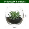thumbnail image 2 of 3pcs artificial succulent glass potted plants creative small ornaments simulation plant bonsai, 2 of 5