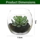 thumbnail image 2 of 3 uds plantas en macetas de vidrio suculentas artificiales pequeños adornos creativos planta de simulación bonsái, 2 of 5