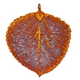 thumbnail image 3 of Real Leaf Pendant with Chain ASPEN Dipped in Copper Genuine Leaf Necklace, 3 of 5