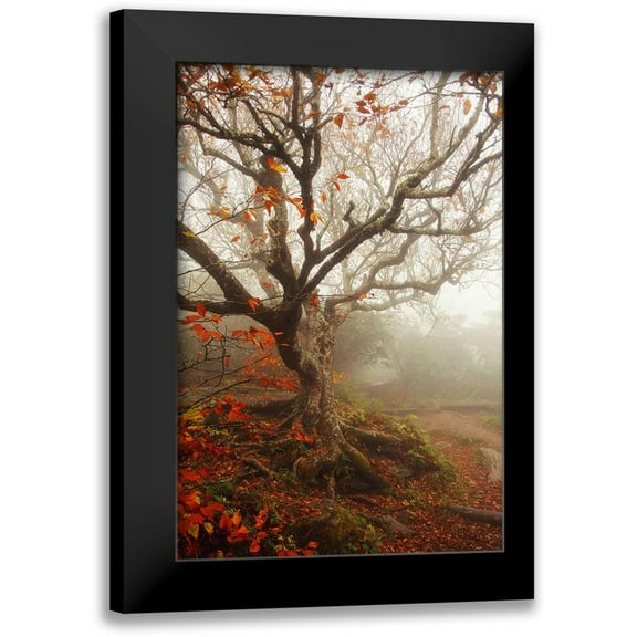 Grippo-Pike, Carrie Ann 11x14 Black Modern Framed Museum Art Print Titled - Tree of Seasons