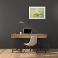 thumbnail image 3 of Westum, Heidi 18x14 White Modern Wood Framed Museum Art Print Titled - Spring Light, 3 of 4