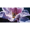 thumbnail image 3 of Schuh, Michael 18x11 Black Modern Framed Museum Art Print Titled - Inner Beauty, 3 of 5