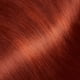 thumbnail image 2 of Tinte para el cabello Garnier Nutrisse Ultra Color RC1 Copper Red x2, 2 of 7