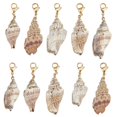 thumbnail image 1 of Colgantes con forma de concha marina Charm SUNNYCLUE, 10 unidades, cierres de mosquetón, 1 of 7
