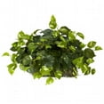 thumbnail image 1 of Nearly Natural 6708 Pothos Set on Foam Sheet Silk Plant, 1 of 6