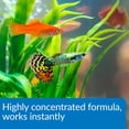 thumbnail image 4 of Acondicionador de agua API Aqua Essential, botella de 118 ml, 4 of 7