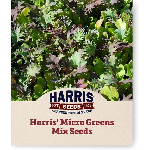 Harris Seeds - Green Harris’ Micro Mix Seeds Premium Multicolor - 250 Seeds