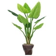 thumbnail image 1 of Vintage Home Artificial Faux Real Touch 62" Tall Philodendron Erubescens Green Emerald And Fiberstone Planter, 1 of 3