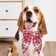 thumbnail image 5 of Festive Pet Dog Collar with Bells and Bows, Christmas Holiday Winter Party Decoration for Small Medium Dogs, Cute Soft Knitted Neckwear for Puppy Cat Photo Props, 5 of 6