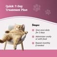 thumbnail image 4 of Petivo Dewormer for Cats Liquid – Chicken Flavor Cat Dewormer for Cats & Kittens – Oral Formula with Syringe – Tapeworm Care Support – 2 oz (60 ml), 4 of 9