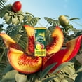 thumbnail image 2 of PERRIER & JUICE Lemon & Guava Sparkling Beverage – 6x330 mL Can, 2 of 8
