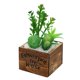 thumbnail image 1 of Laklulu Bonsai artificial de la flor de la decoración de la planta, planta en maceta carnosa del pote de madera cuadrado, 1 of 5