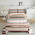 thumbnail image 2 of Manfei Vintage Geometric Stripe Queen Comforter Set,Modern Abstract Art Bedding Sets,Multicolor Line Bedding Comforter Set For Men Women,Super Cozy Room Decor Reversible,3 Pieces, 2 of 8