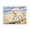 Poodle Journey Beach, variant on Stupell Industries Coastal Coastal Breeze & Poodle Canvas Art, 20 x 16, by Svetlana Aleynikova