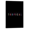 thumbnail image 1 of iCanvas  "Tropical XVII" by Galaxy Eyes Canvas Print, 1 of 5
