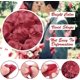 thumbnail image 3 of Baicccf 2000 Piezas Pétalos De Rosa De Seda De Color Rojo Vino Pétalos De Seda, Decoración De Fiesta De Bodas para Una Noche Romántica Día De San Valentín, 3 of 5