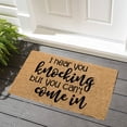 thumbnail image 4 of Tnobhg Floor Mat Multi-purpose Anti-Slip Door Mat Letter Printing Entry Door Carpet for Outdoor Indoor Decoration, 4 of 8