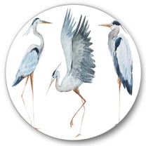 Designart 'Portrait Of Heron Birds II' Traditional Circle Metal Wall Art 29x29 - Disc of 29