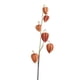 thumbnail image 2 of Pulverizador de Manguera de Jardín con Boquilla Ajustable | Controla El Flujo y Los Patrones de Pulverización | Uso Exterior para Plantas, Césped y Parterres, 2 of 6