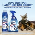 thumbnail image 5 of Lysol Pet Odor Eliminator Spray, Sanitizing and Disinfecting Spray for Pet Odors, 15oz (4 Pack), 5 of 6