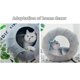 thumbnail image 4 of Cama túnel plegable con forma de donut para gatos Peekaboo, variedad de diseños circulares para gatos, 4 of 5