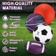thumbnail image 3 of Juego de pelotas deportivas Lenwen de 4 piezas con bomba y bolsa, 3 of 6