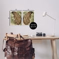 thumbnail image 4 of Stupell Industries Cheetah Butterfly Wings Animals & Insects Painting White Framed Art Print Wall Art, 11 x 14, Set of 2, 4 of 10